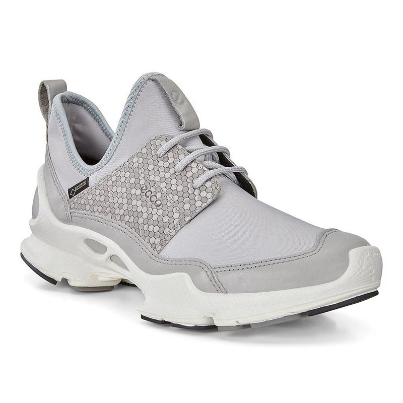 Women Ecco Biom C W - Gore-Tex Grey - India KDBLIN597